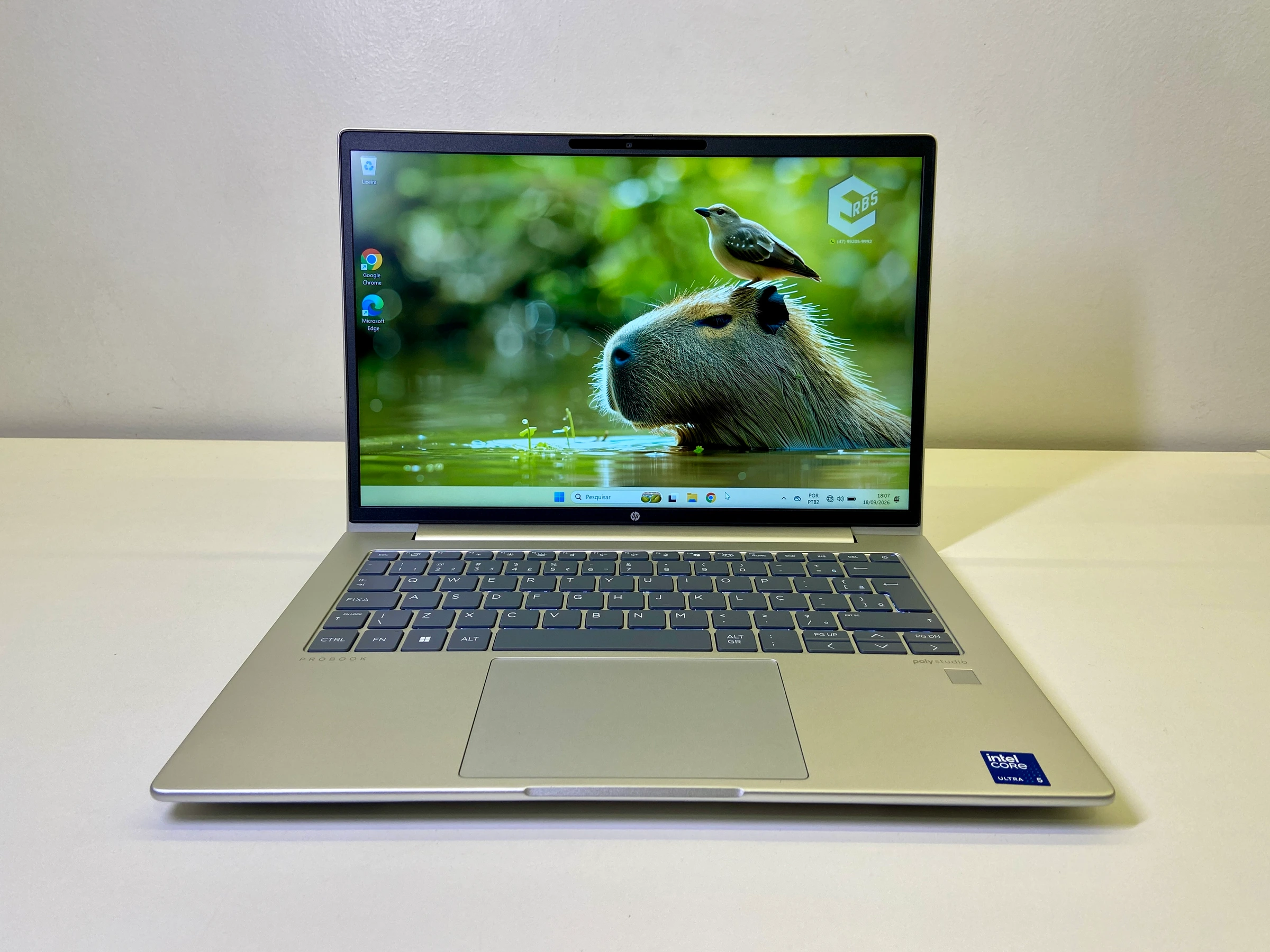 HP PROBOOK 440 G11 CORE ULTRA 5 125U 16GB RAM 256GB SSD 14 POL FHD+